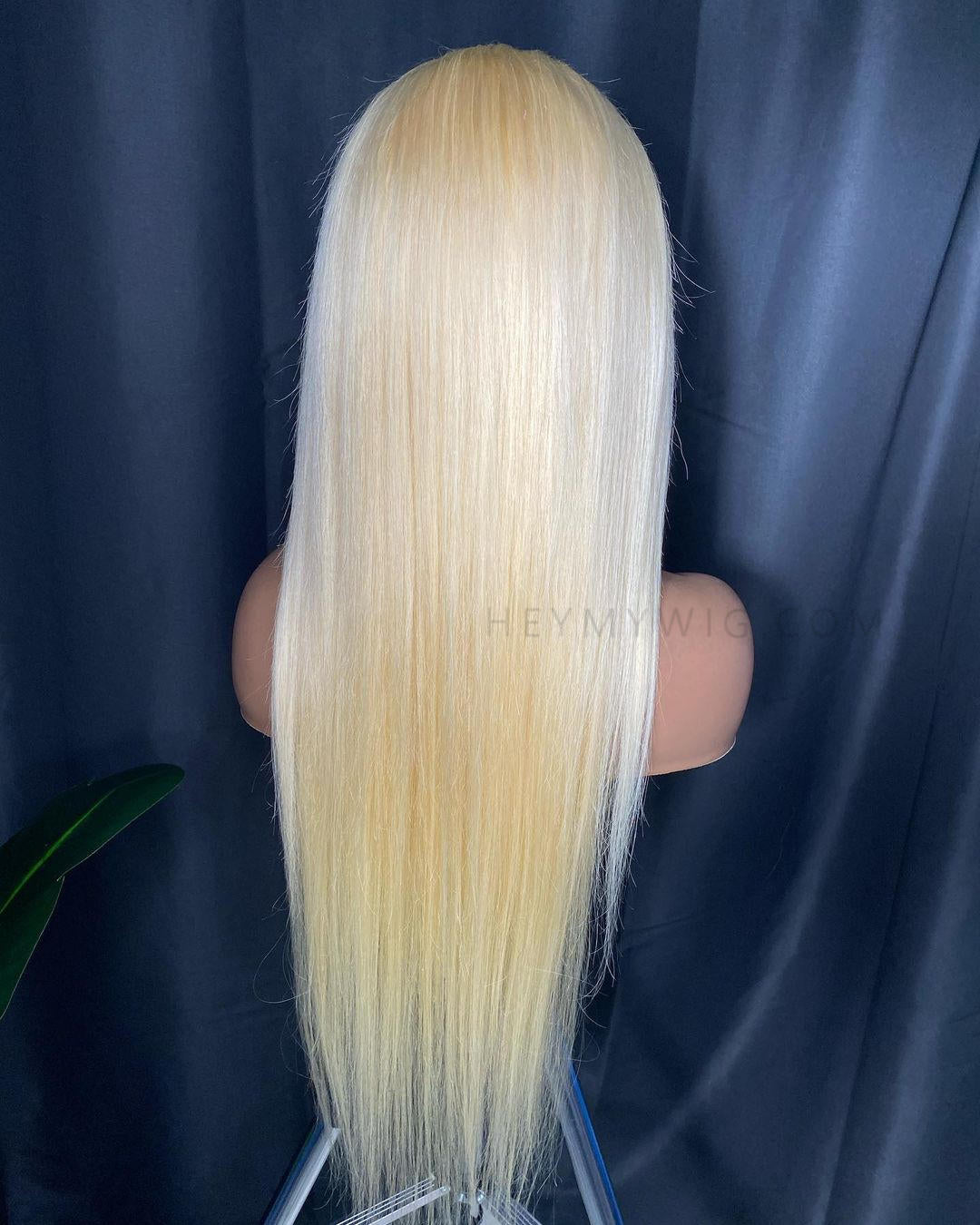 #613 Blonde Straight Lace Wig